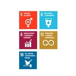 SDG-Zertifizierung