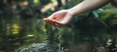 Eco-sustainability